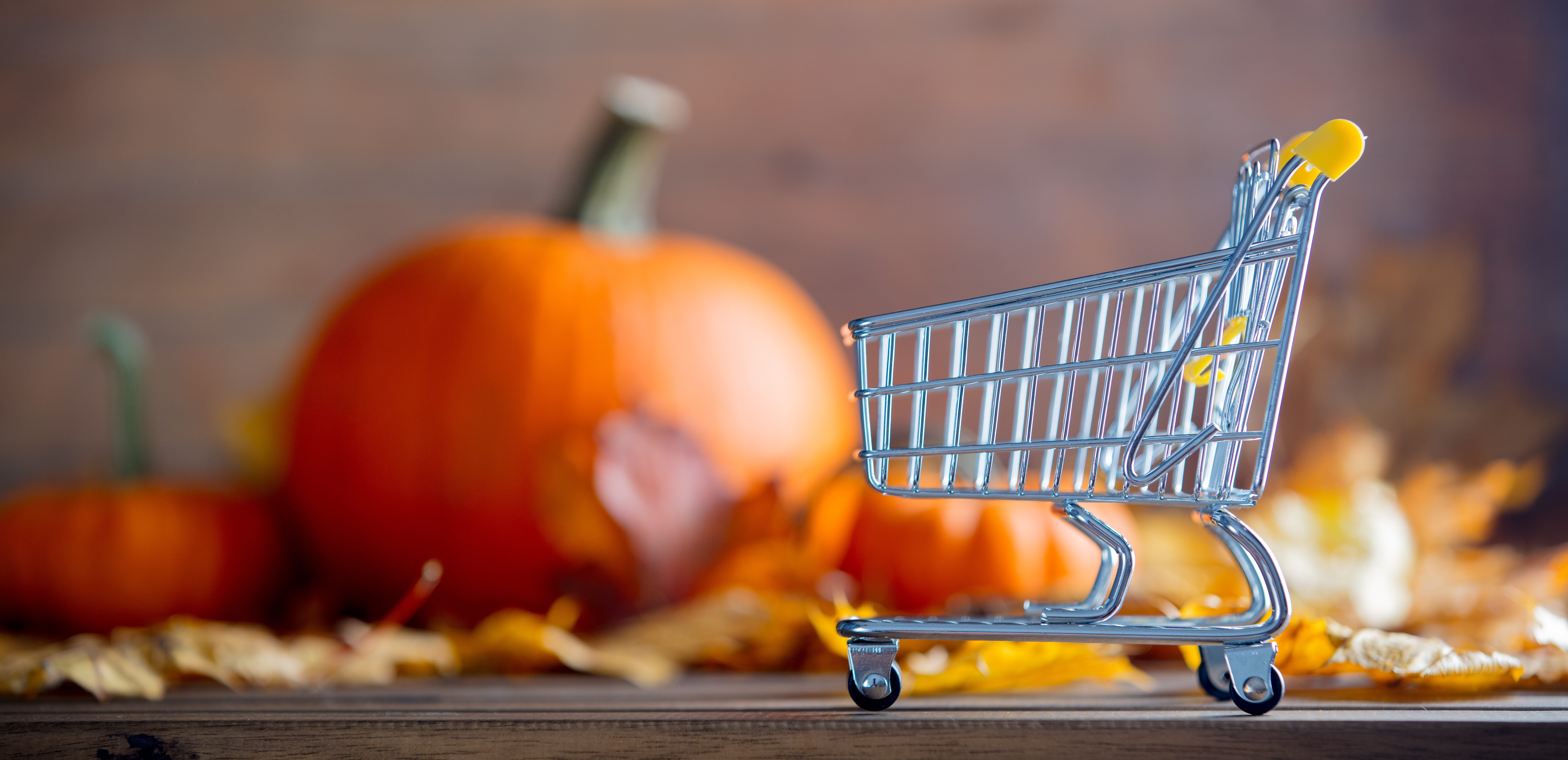 Don't fall behind- start your shopping early with a 1st Ed Visa Platinum Credit Card!