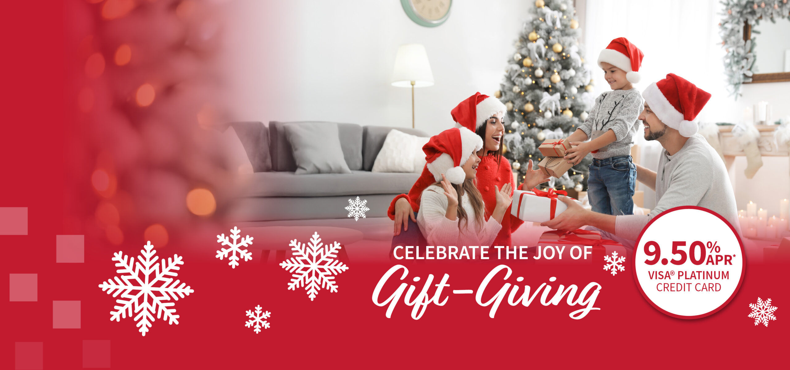 Save with a Visa Credit Card at 1st Ed.