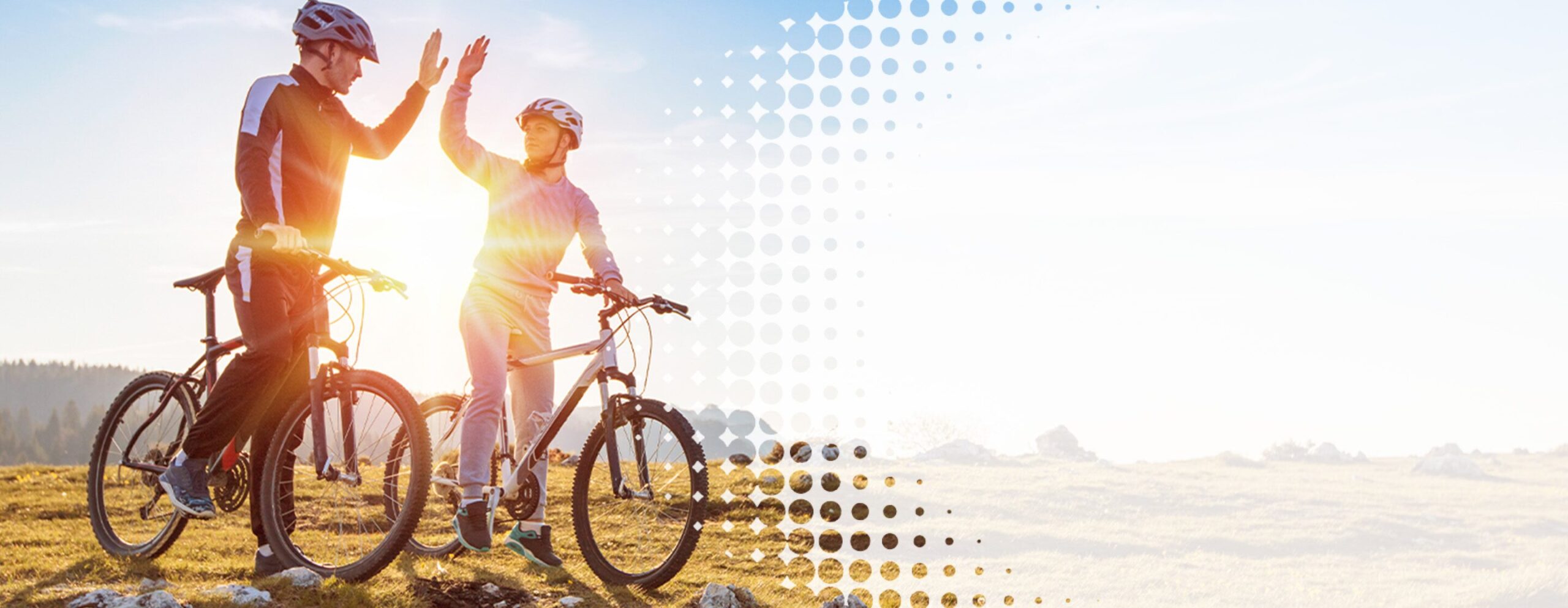 Money Management Hub header