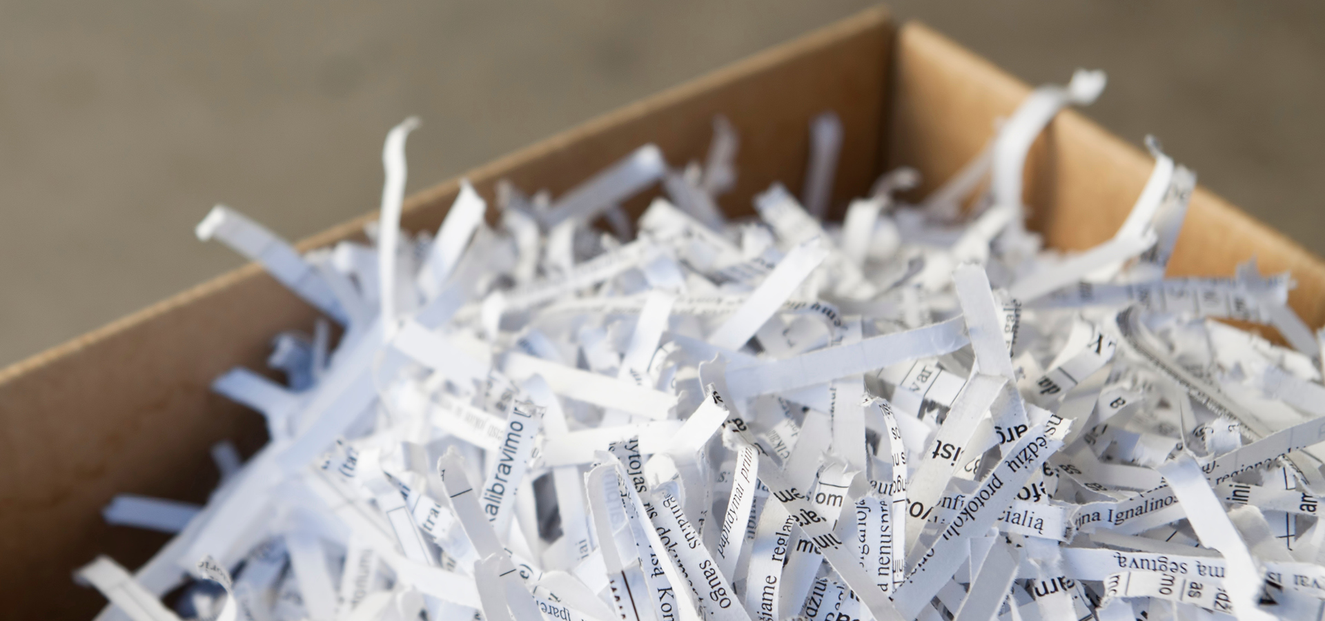 Join us for Shred Day!
